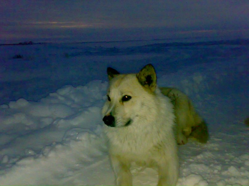 Серёга Мокляк | 