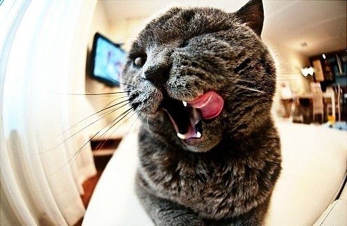 Никита Кузнецов KUZY | Абакан