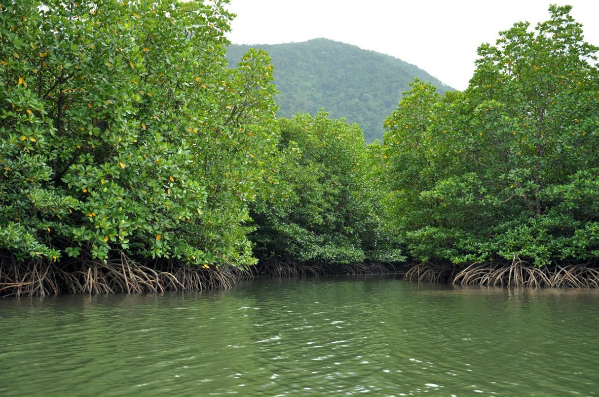 Анна Енина | Москва