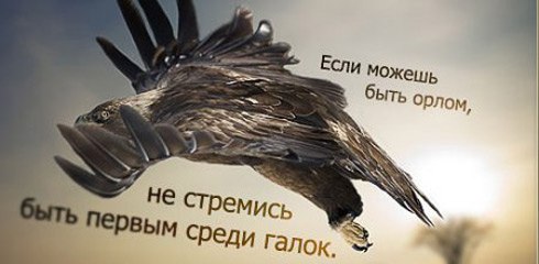 №112, Ольга Ермилова, 42 года, Киев №112, Ольга Ермилова, 42 года, Киев