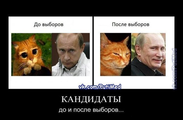 №123, Ирина Жарова, Пенза №123, Ирина Жарова, Пенза