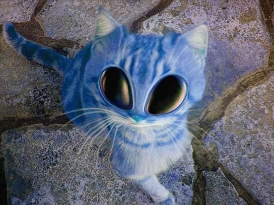 Сергей Новосадов | Санкт-Петербург