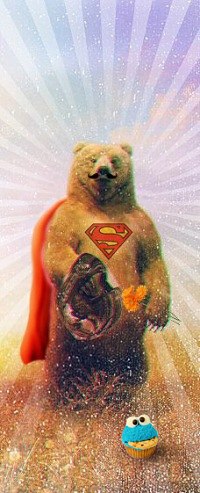 Тарас Шипка ★ Кучерявый медведь★ | 