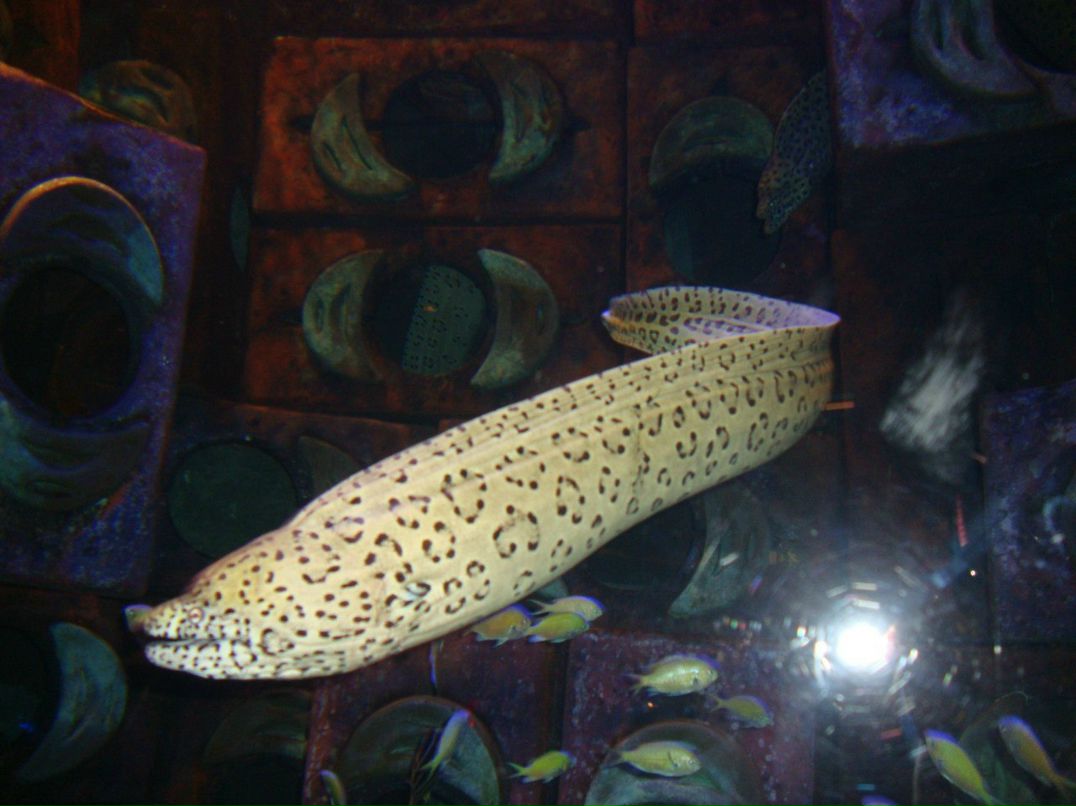 Владислав Антонов | Москва