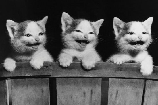 Светлана Мануйлова | Москва