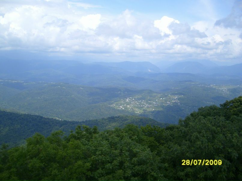 Александр Рыков | Санкт-Петербург