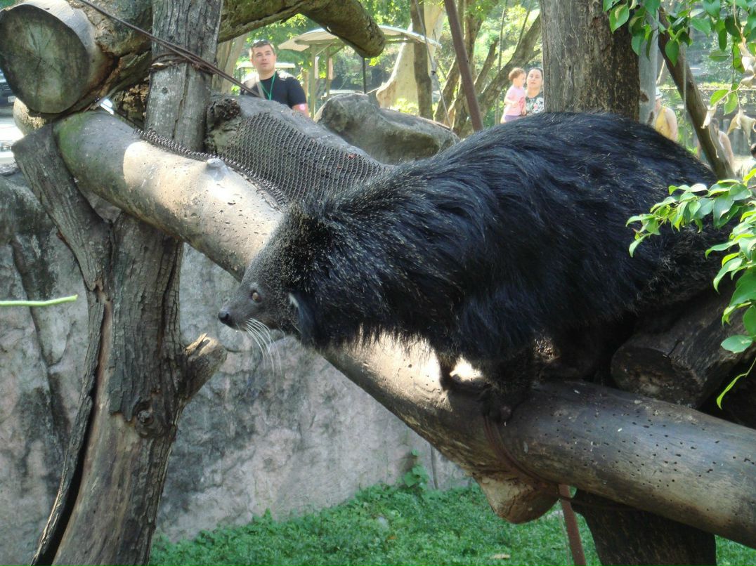 Юрий Королев | Уфа