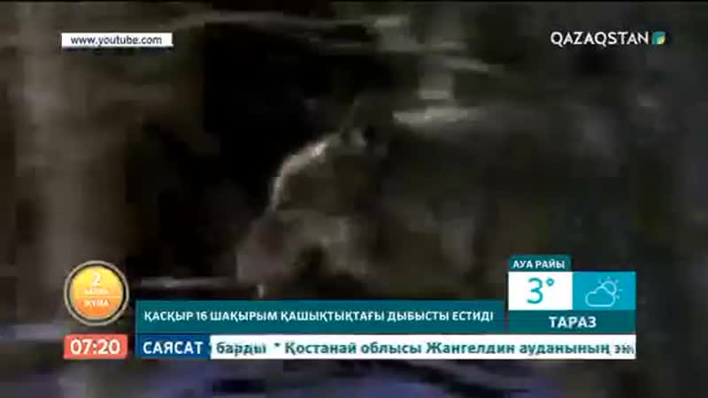 Қасқыр туралы-2