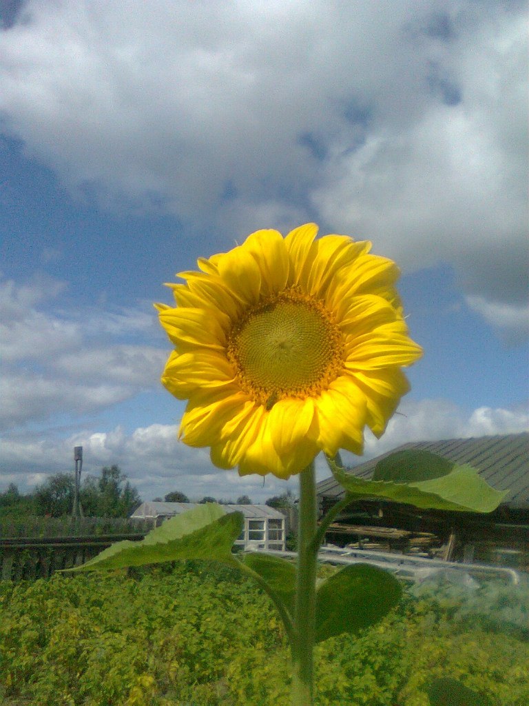 Иван Чигарев | Пермь