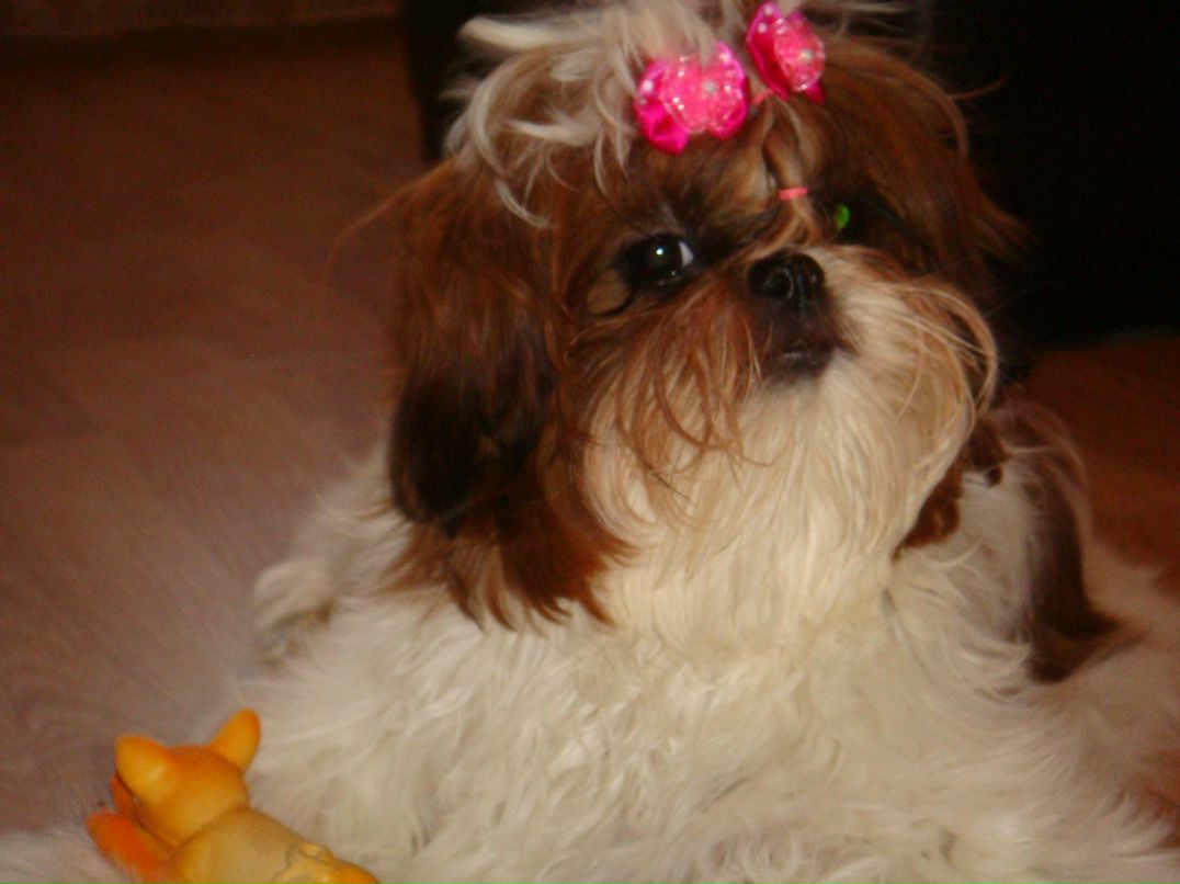 Ирина Рубцова | Вологда