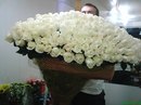 Фотография Илья Каримов