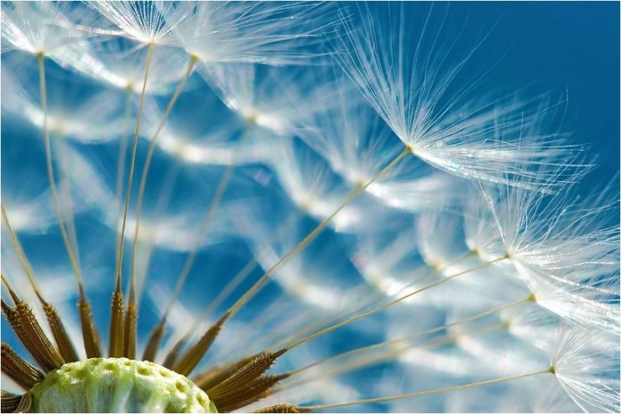 Діана Пашко | Ивано-Франковск