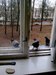 Ярослав Король фотография #3