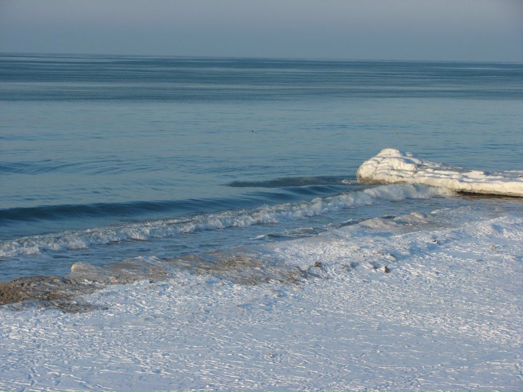 Юлия Витебская | Зеленоградск
