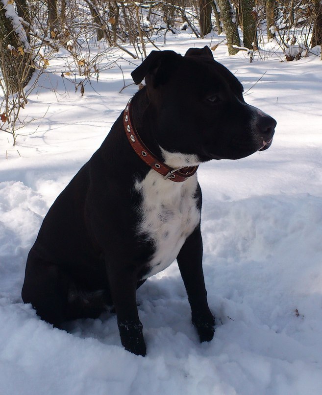 Владимир Курбатов | 