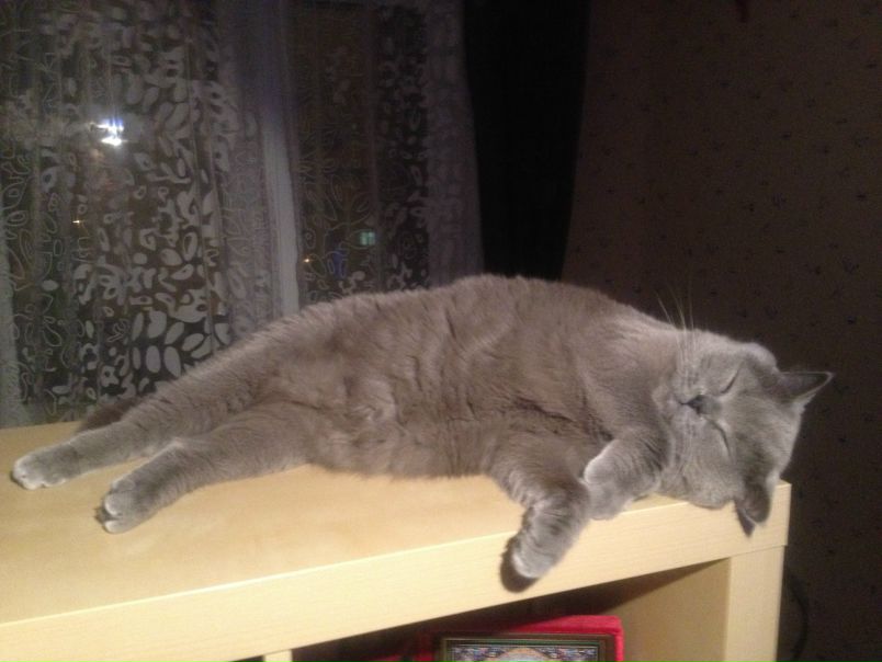 №34, Екатерина Павлова, Москва №34, Екатерина Павлова, Москва