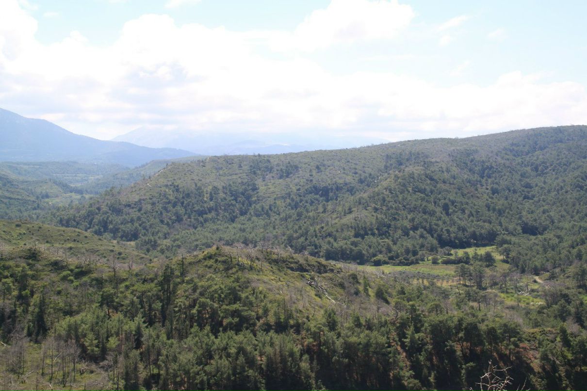 Ronald Shipitsyn | Беэр Шева