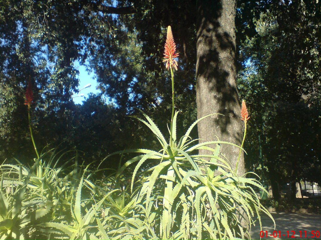 Наташа Дьячкова | Липецк