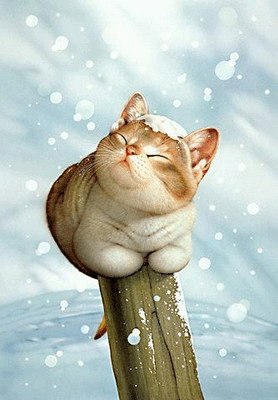 Екатерина Кутовая | Смоленск