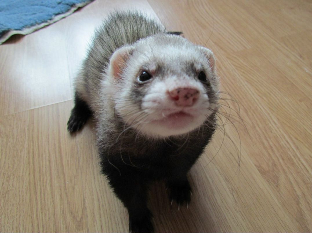 Татьяна Петрова | Санкт-Петербург