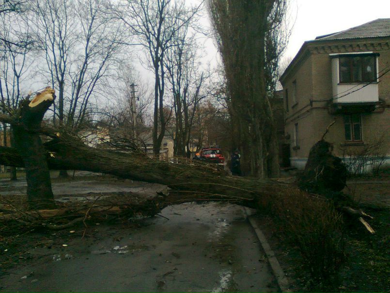 №161, Максим Серёжин №161, Максим Серёжин