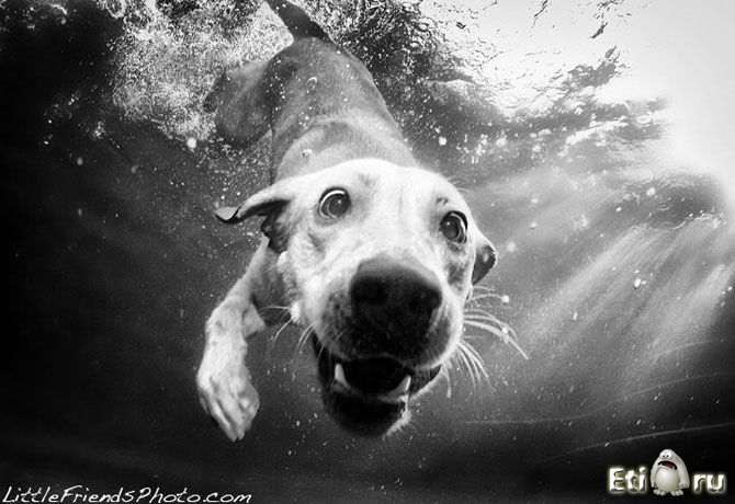 Вероника Волли Rasmusa | Петропавловск