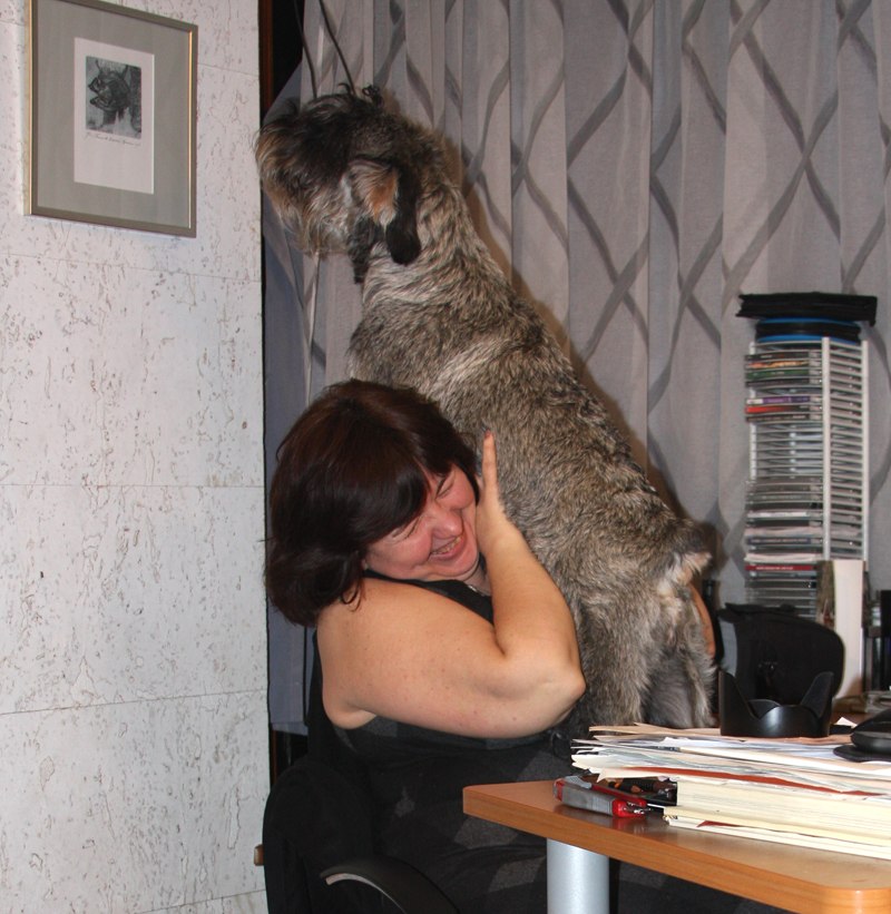 Евгений Харук | Киев