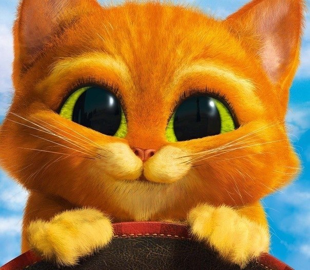 Ксюша Кондратьева | Владимир