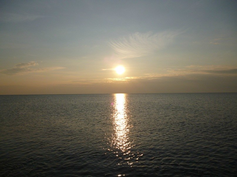 Александр Шевчук | Новоград-Волынский