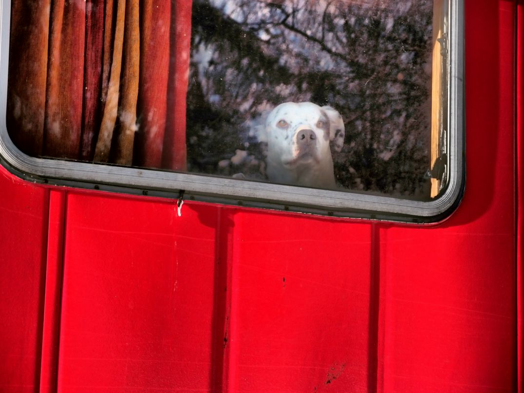 Blaster Pastor | Москва