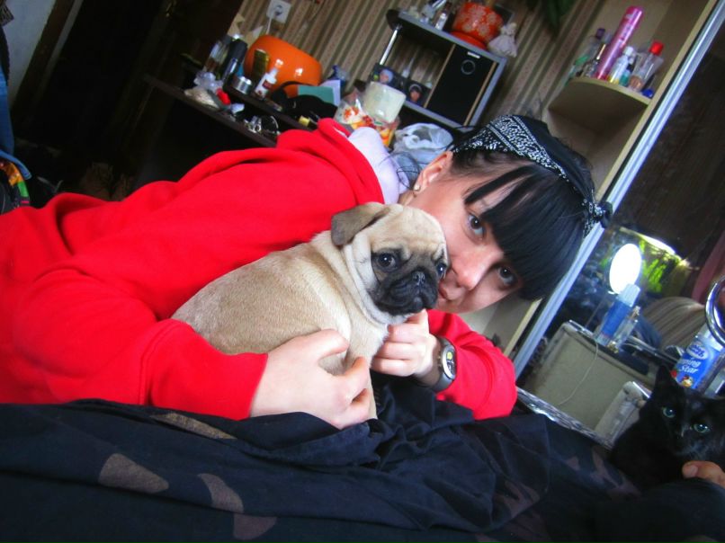 Van Zyl ░▒▓█ | 