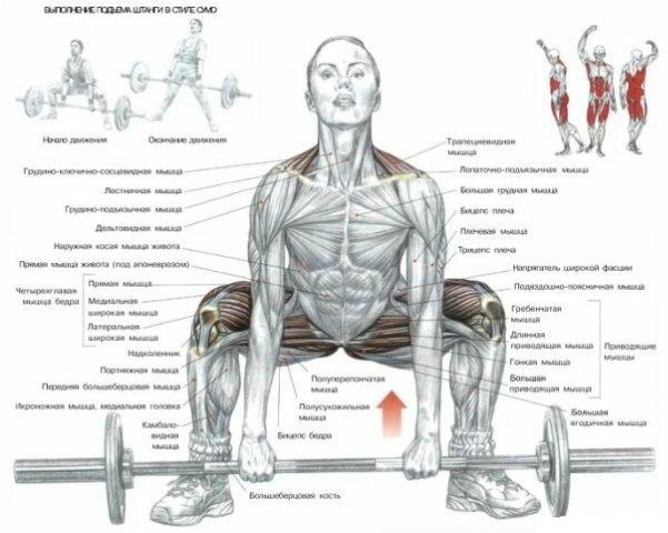 Олег Горшунов | Санкт-Петербург