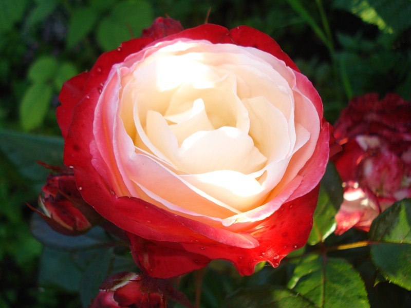 Алексей Юшков | 