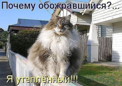 №42, Полина Редькина, 37 лет, Санкт-Петербург №42, Полина Редькина, 37 лет, Санкт-Петербург