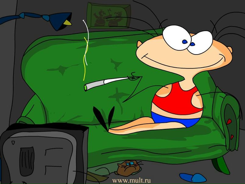 №6, Мария Косарева №6, Мария Косарева