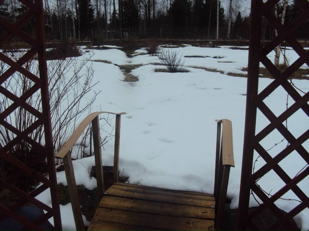 Леонид Касьянов хохол | Санкт-Петербург