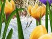 Люда Сухенко ♥ Lyusechka ♥ | Сумы