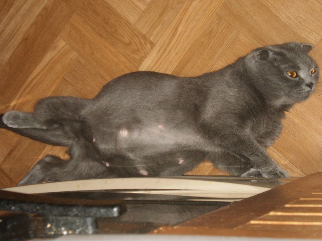 Лидия Барынина | Москва