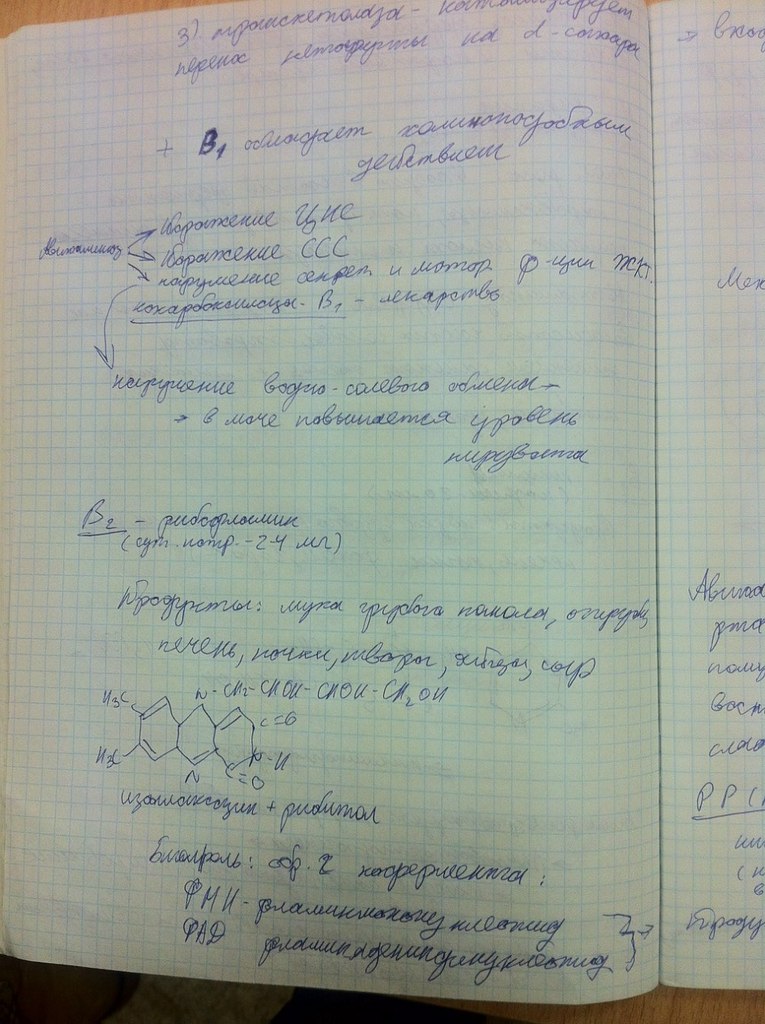 Эльтаир Дженкинс | Санкт-Петербург