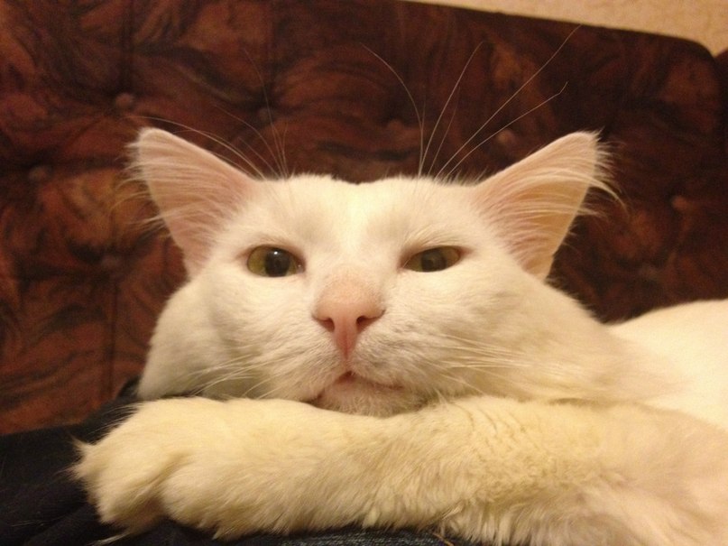 Александр Степанов | Обнинск