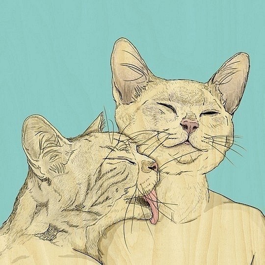 Юля Терещенко | Киев