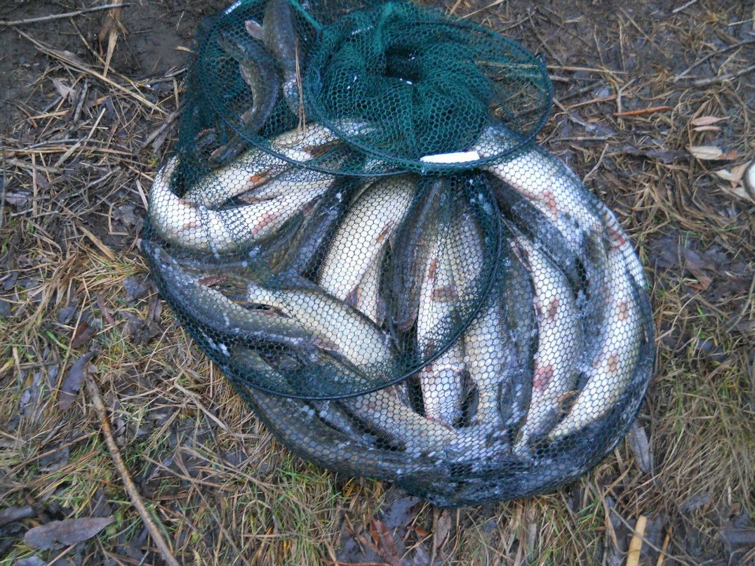 Станислав Тищенко | Киев