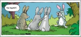 №35 Павел Кононов 22.06: профиль, фото, статус - ВКонтакте №35 Павел Кононов 22.06: профиль, фото, статус - ВКонтакте