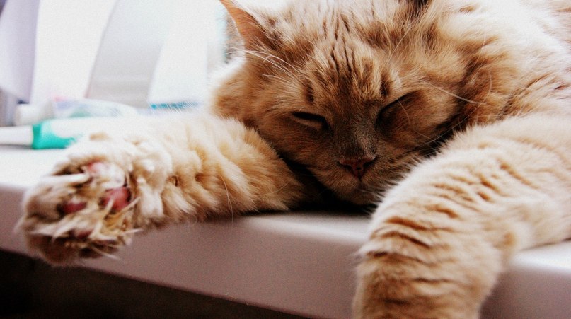 Любовь Широких | Чайковский