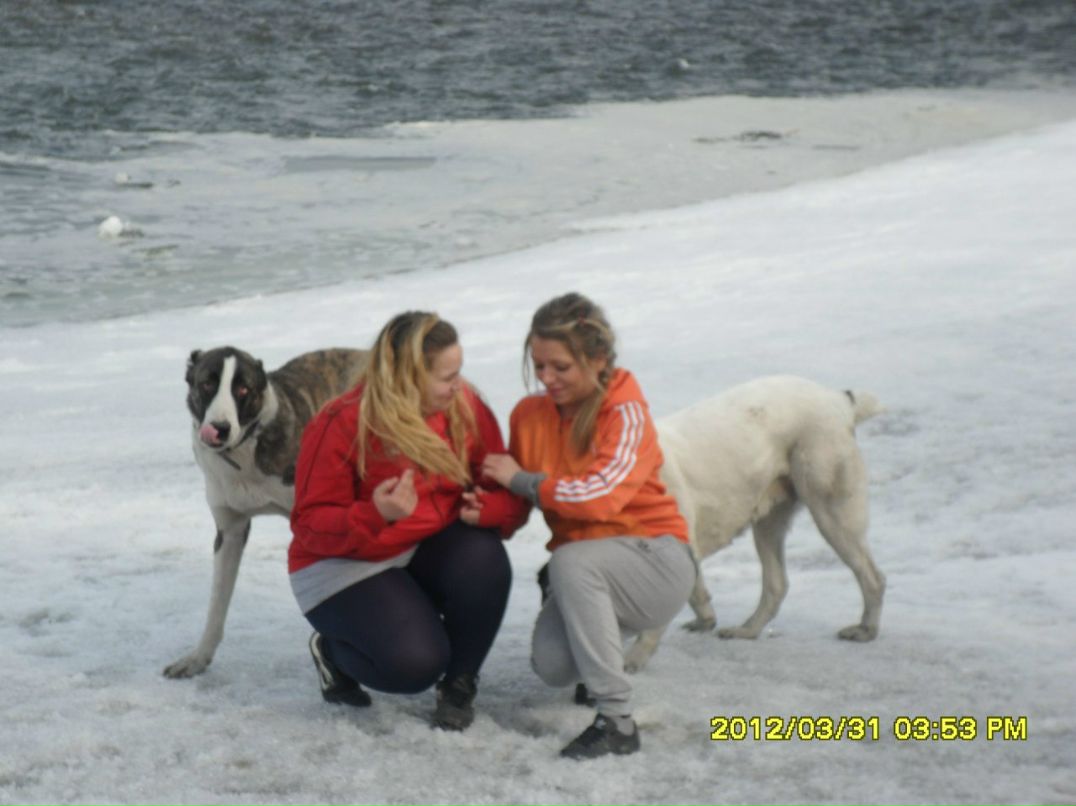 Юлия Бердник | Новокузнецк