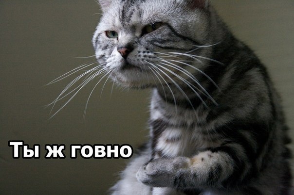 Макс Климов КЛИМАКС | Новосибирск