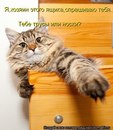 №16 Ольга Губернаторова