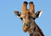 Дмитрий Законов DUKE | Москва