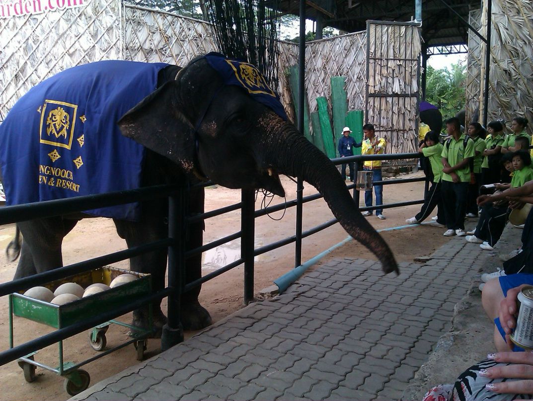 Вячеслав Неглинный | Москва