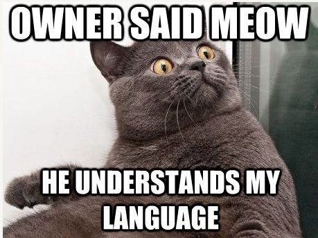 Глеб Бобчёнок | 